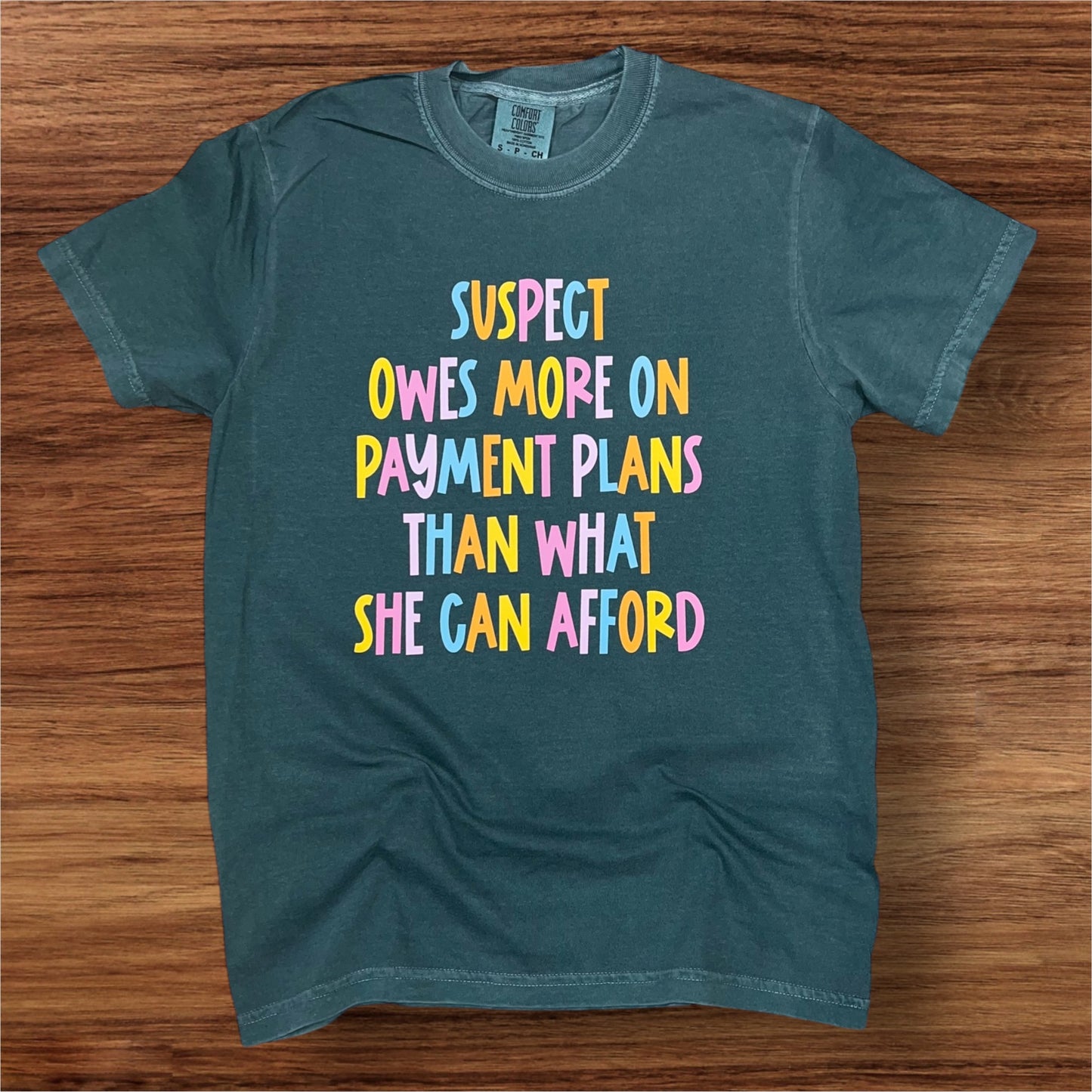 Suspect Owes More On Payment Plans Than What She Can Afford